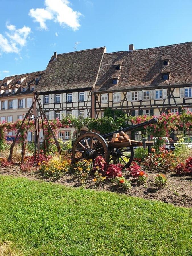 Logement Tout Confort 3 - Wifi - Parking ウィッサンブール エクステリア 写真